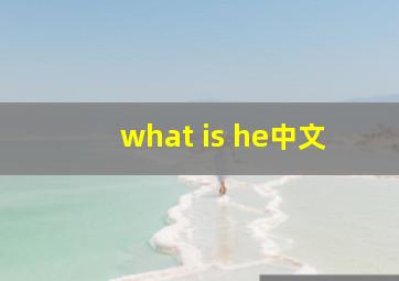 what is he中文